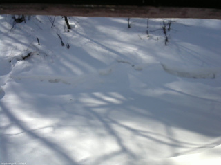 長野県菅平高原 ゆたか山荘 東側(坂下) 2026/02/21 09:30