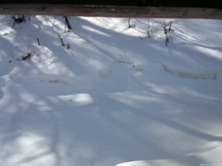 長野県菅平高原 ゆたか山荘 東側(坂下) 2026/02/21 09:45