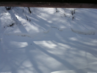 長野県菅平高原 ゆたか山荘 東側(坂下) 2026/02/21 10:00