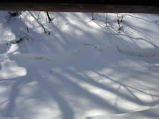 長野県菅平高原 ゆたか山荘 東側(坂下) 2026/02/21 10:15