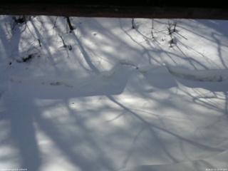 長野県菅平高原 ゆたか山荘 東側(坂下) 2026/02/21 10:30