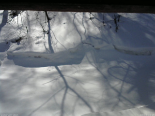 長野県菅平高原 ゆたか山荘 東側(坂下) 2026/02/21 11:00