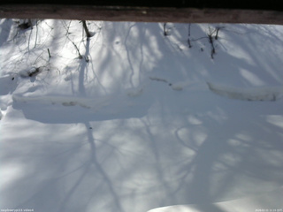 長野県菅平高原 ゆたか山荘 東側(坂下) 2026/02/21 11:15