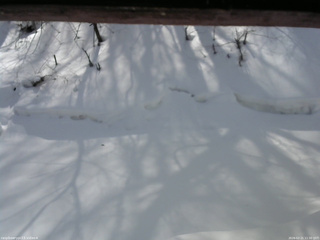 長野県菅平高原 ゆたか山荘 東側(坂下) 2026/02/21 11:30