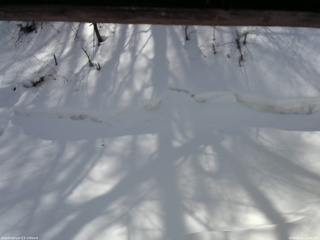 長野県菅平高原 ゆたか山荘 東側(坂下) 2026/02/21 11:45