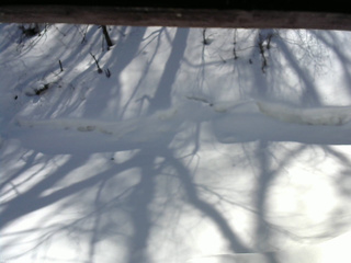 長野県菅平高原 ゆたか山荘 東側(坂下) 2026/02/21 12:15