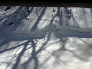 長野県菅平高原 ゆたか山荘 東側(坂下) 2026/02/21 12:30