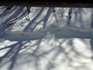 長野県菅平高原 ゆたか山荘 東側(坂下) 2026/02/21 12:45