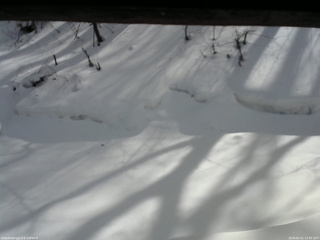 長野県菅平高原 ゆたか山荘 東側(坂下) 2026/02/21 13:30