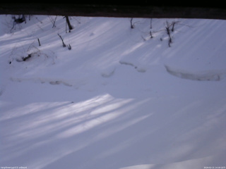 長野県菅平高原 ゆたか山荘 東側(坂下) 2026/02/21 14:30