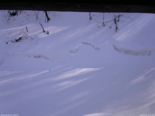 長野県菅平高原 ゆたか山荘 東側(坂下) 2026/02/21 14:45