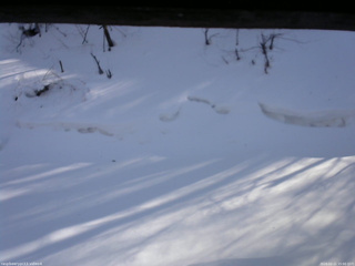 長野県菅平高原 ゆたか山荘 東側(坂下) 2026/02/21 15:00