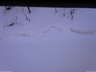 長野県菅平高原 ゆたか山荘 東側(坂下) 2026/02/21 15:15