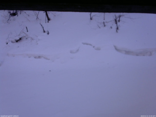 長野県菅平高原 ゆたか山荘 東側(坂下) 2026/02/21 15:45