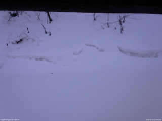 長野県菅平高原 ゆたか山荘 東側(坂下) 2026/02/21 16:00