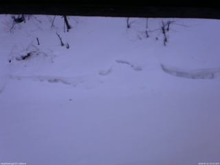 長野県菅平高原 ゆたか山荘 東側(坂下) 2026/02/21 16:15