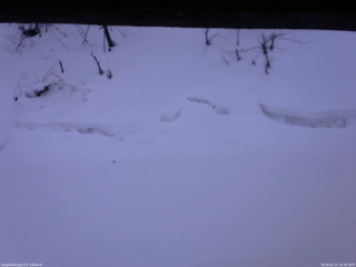 長野県菅平高原 ゆたか山荘 東側(坂下) 2026/02/21 16:30