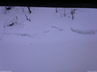 長野県菅平高原 ゆたか山荘 東側(坂下) 2026/02/21 16:45