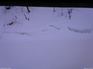 長野県菅平高原 ゆたか山荘 東側(坂下) 2026/02/21 17:00