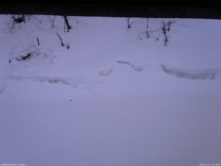 長野県菅平高原 ゆたか山荘 東側(坂下) 2026/02/21 17:15