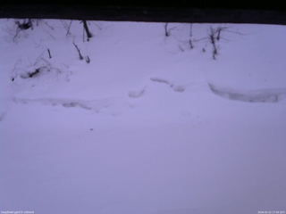 長野県菅平高原 ゆたか山荘 東側(坂下) 2026/02/21 17:30