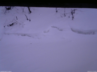 長野県菅平高原 ゆたか山荘 東側(坂下) 2026/02/21 17:45