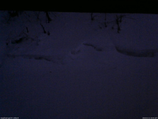 長野県菅平高原 ゆたか山荘 東側(坂下) 2026/02/21 18:00