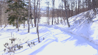 長野県菅平高原 ゆたか山荘 駐車場奥 2026/02/21 09:00