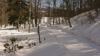 長野県菅平高原 ゆたか山荘 駐車場奥 2026/02/21 11:30