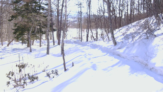 長野県菅平高原 ゆたか山荘 駐車場奥 2026/02/22 09:00