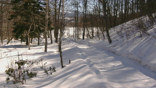 長野県菅平高原 ゆたか山荘 駐車場奥 2026/02/22 10:30