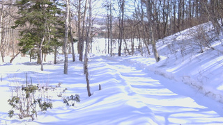 長野県菅平高原 ゆたか山荘 駐車場奥 2026/02/22 13:00