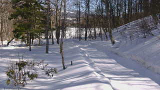 長野県菅平高原 ゆたか山荘 駐車場奥 2026/02/22 13:30