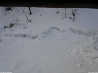 長野県菅平高原 ゆたか山荘 東側(坂下) 2026/02/23 08:00