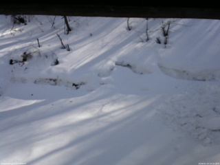 長野県菅平高原 ゆたか山荘 東側(坂下) 2026/02/23 14:15