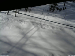 長野県菅平高原 ゆたか山荘 駐車場 2026/02/23 12:00