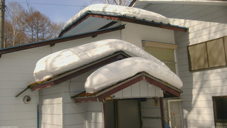 長野県菅平高原 ゆたか山荘 ゆたか山荘 2026/02/23 11:45