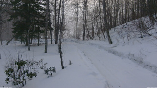 長野県菅平高原 ゆたか山荘 駐車場奥 2026/02/23 07:45