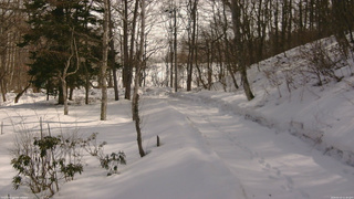長野県菅平高原 ゆたか山荘 駐車場奥 2026/02/23 11:30