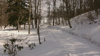 長野県菅平高原 ゆたか山荘 駐車場奥 2026/02/23 11:45