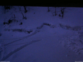 長野県菅平高原 ゆたか山荘 東側(坂下) 2026/02/24 06:00