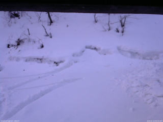 長野県菅平高原 ゆたか山荘 東側(坂下) 2026/02/24 06:30
