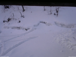 長野県菅平高原 ゆたか山荘 東側(坂下) 2026/02/24 06:45