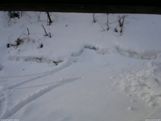 長野県菅平高原 ゆたか山荘 東側(坂下) 2026/02/24 07:15