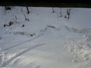 長野県菅平高原 ゆたか山荘 東側(坂下) 2026/02/24 07:30