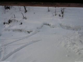 長野県菅平高原 ゆたか山荘 東側(坂下) 2026/02/24 08:00