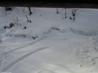 長野県菅平高原 ゆたか山荘 東側(坂下) 2026/02/24 08:45