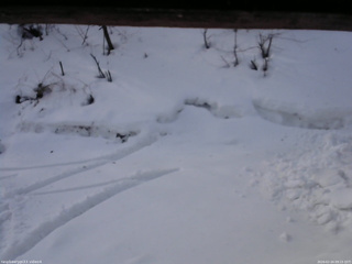 長野県菅平高原 ゆたか山荘 東側(坂下) 2026/02/24 09:15