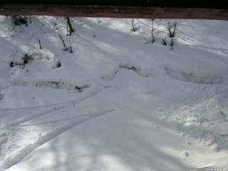 長野県菅平高原 ゆたか山荘 東側(坂下) 2026/02/24 09:45