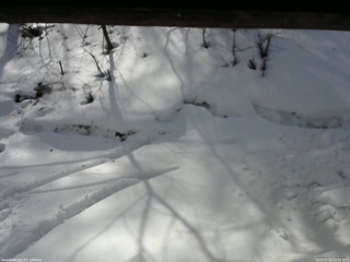 長野県菅平高原 ゆたか山荘 東側(坂下) 2026/02/24 11:00